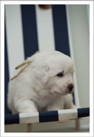 Capture One Session0385_1